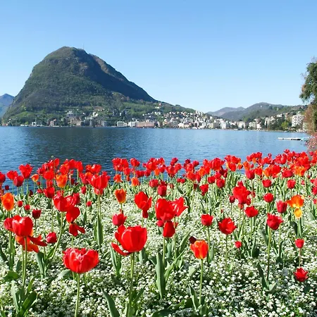 Viganello Modern * Lugano